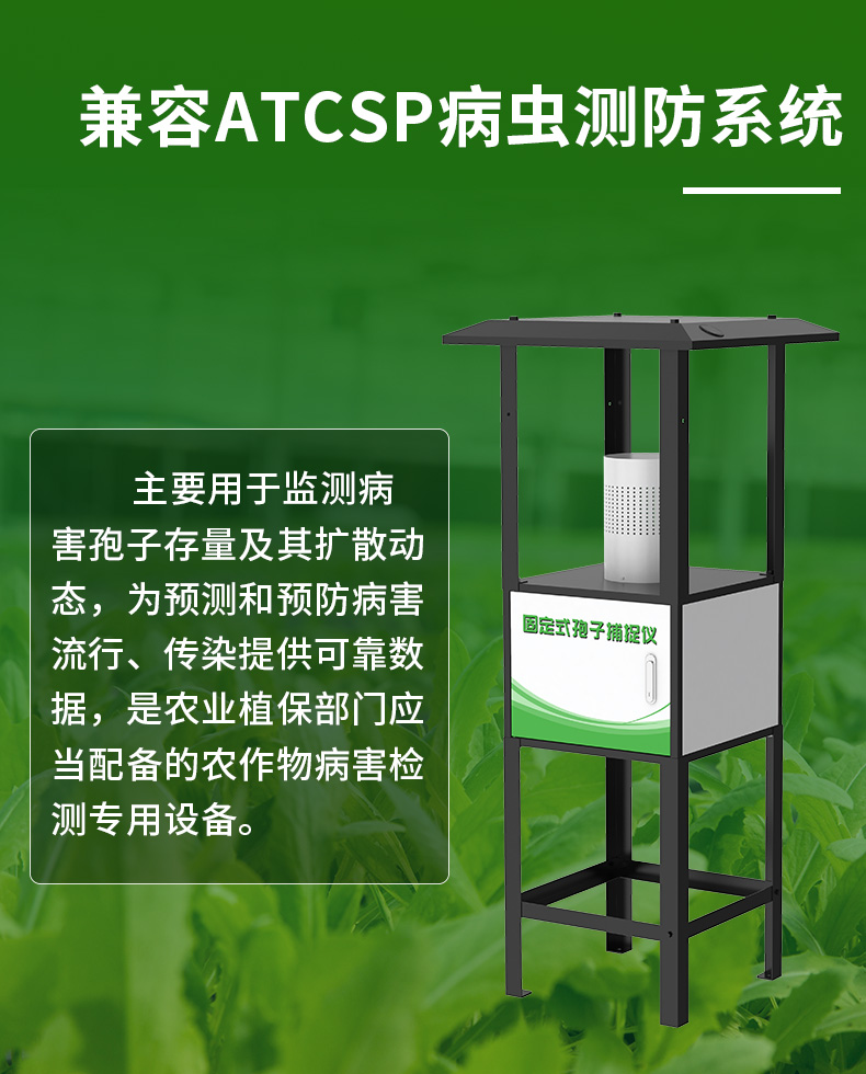 固定式孢子_05.jpg