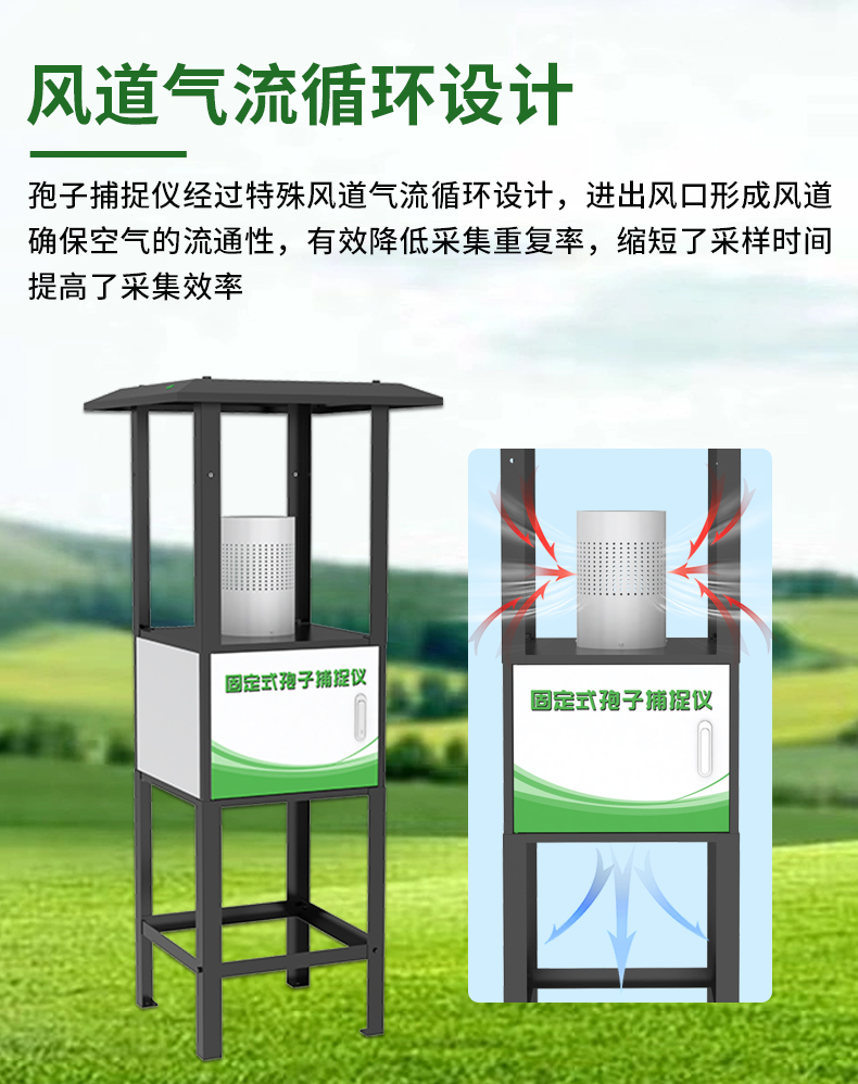 固定式孢子_04.jpg