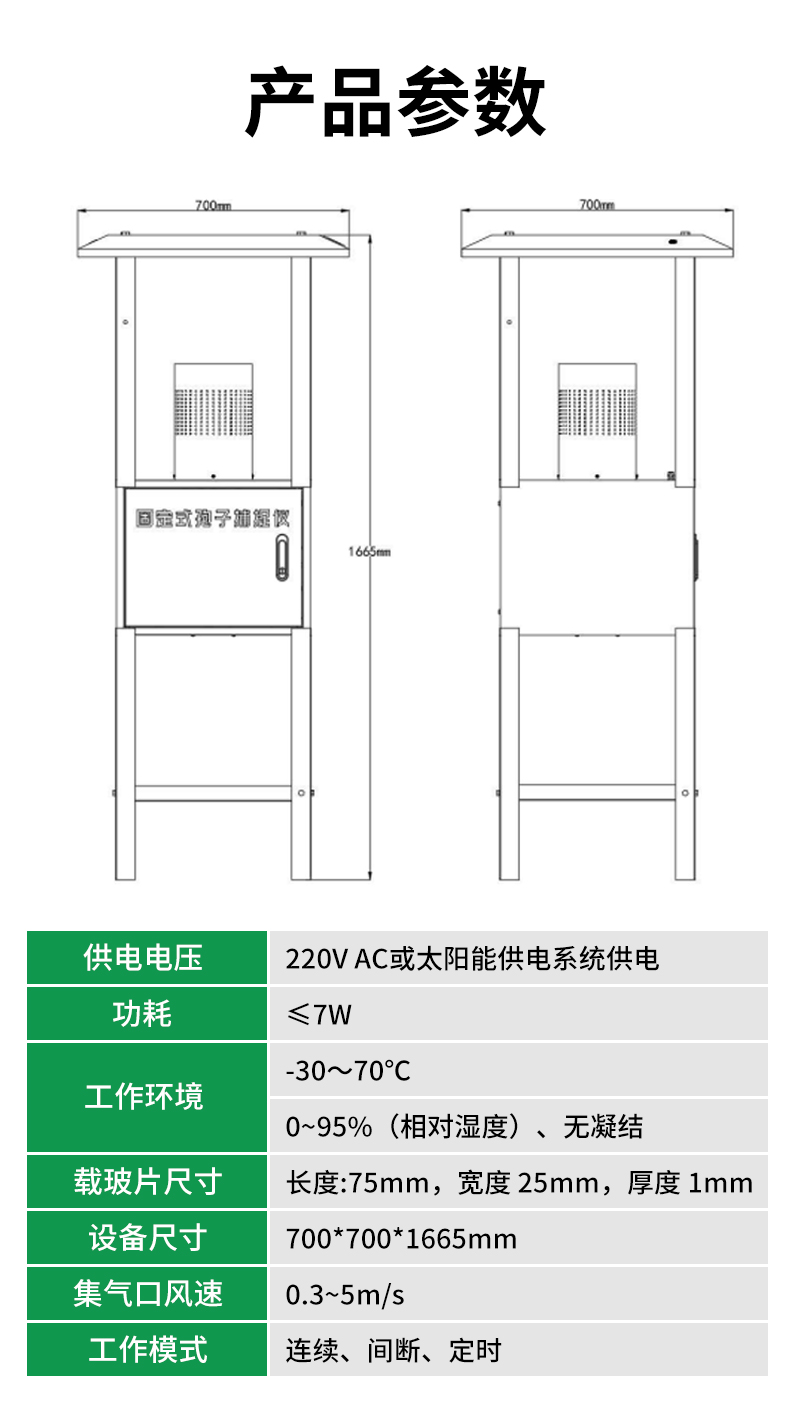 固定式孢子_07.jpg