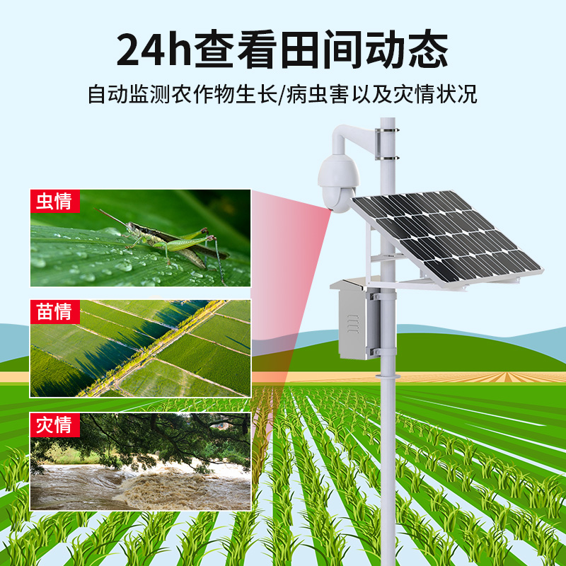 苗情监测站