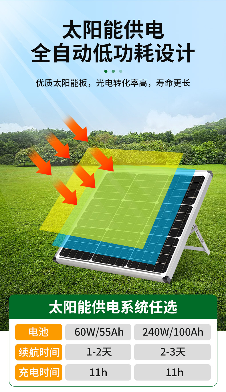 苗情.jpg