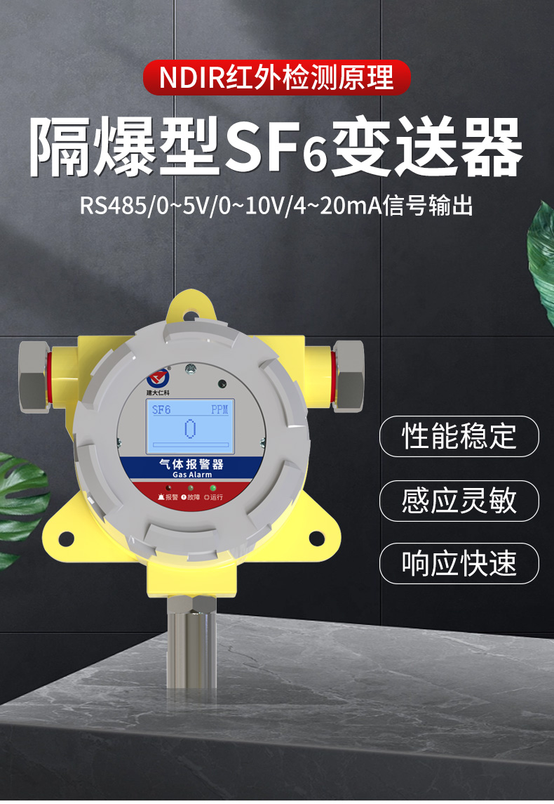隔爆SF6变送器_01.jpg