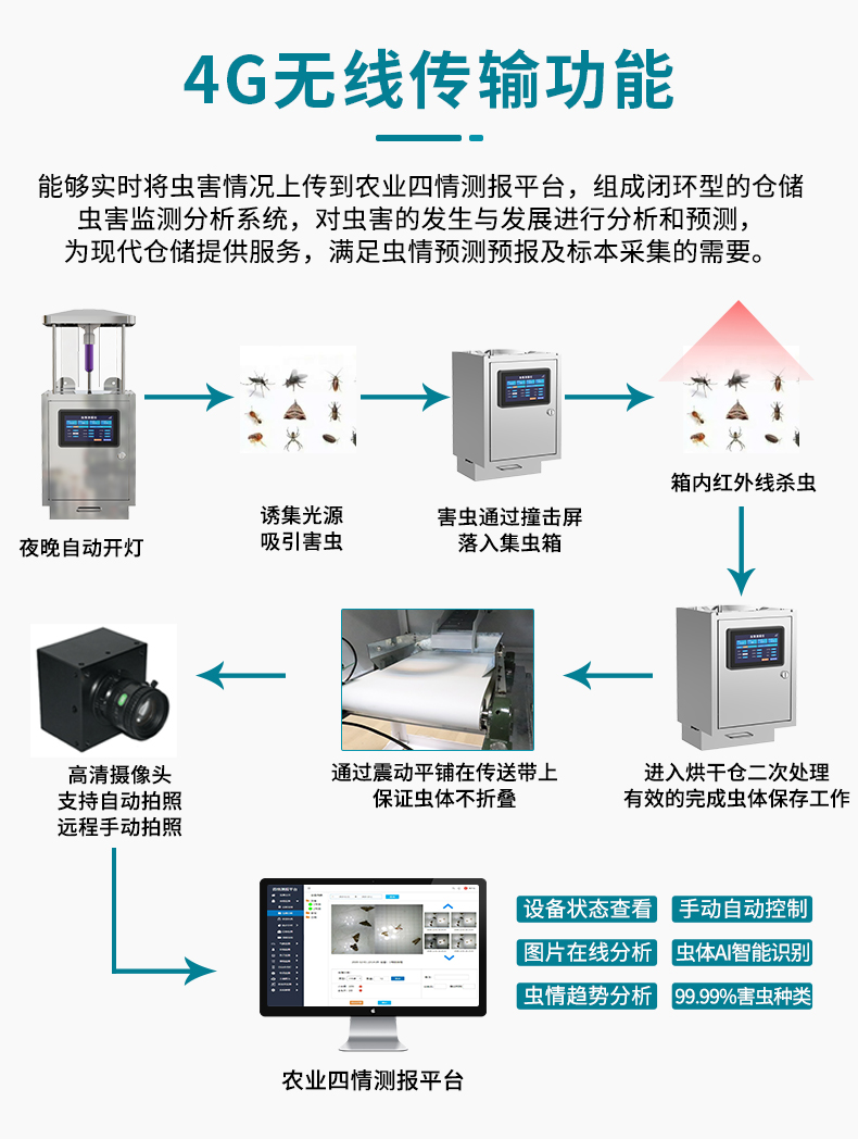 虫情R5_04.jpg