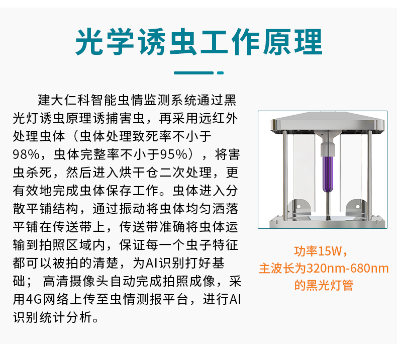 虫情R5_03.jpg