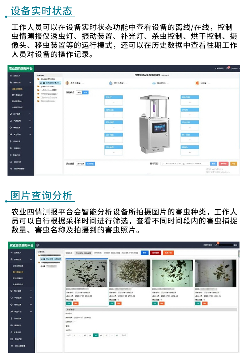 虫情R5_14.jpg