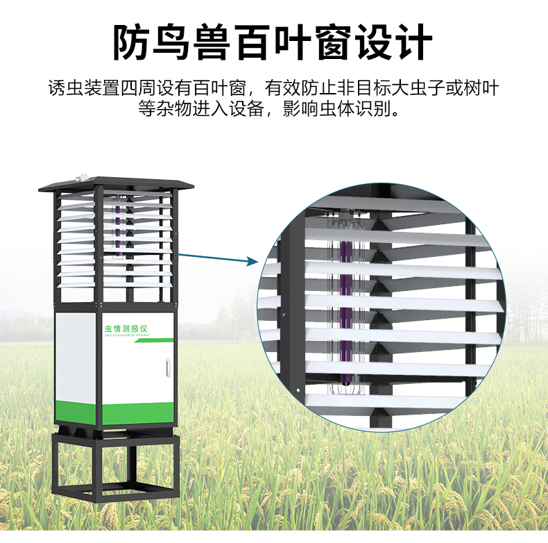 虫情R6_10.jpg