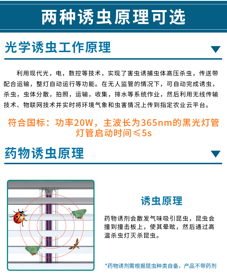 虫情R6_02.jpg