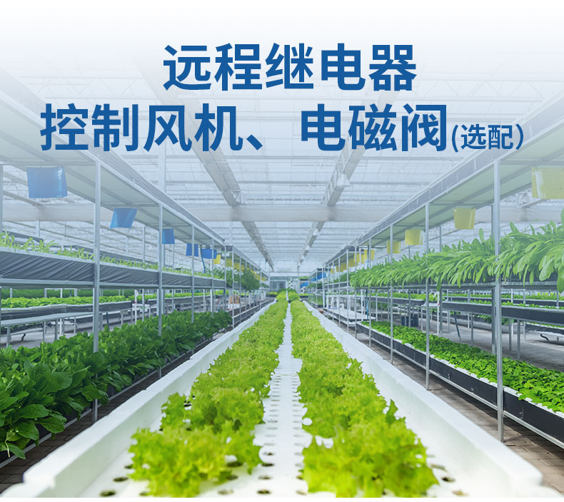 王字壳氨气变送器_11.jpg