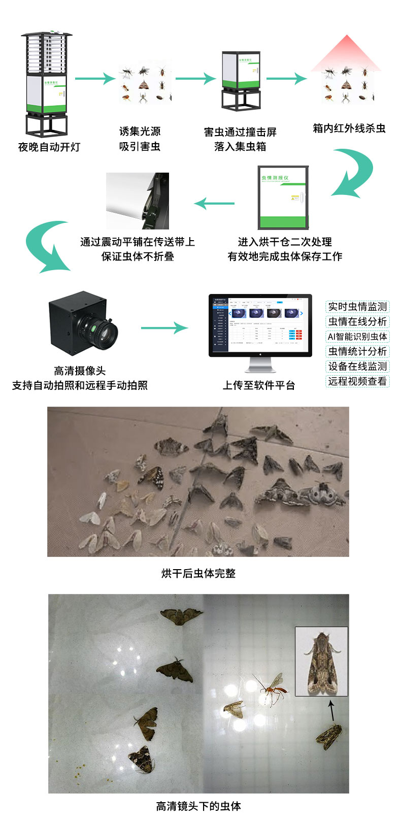 虫情测报仪-旗舰版_04.jpg