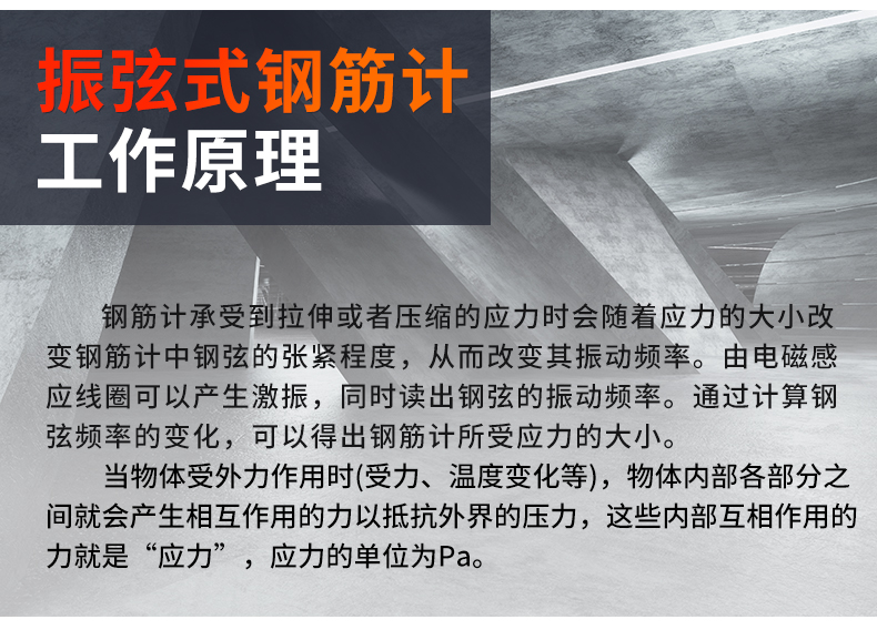 振弦式钢筋计_02.jpg