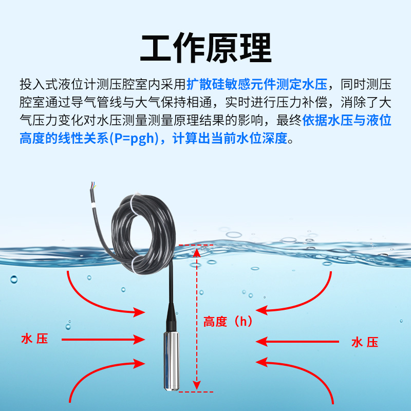 投入式液位计(RS485/模拟量型)