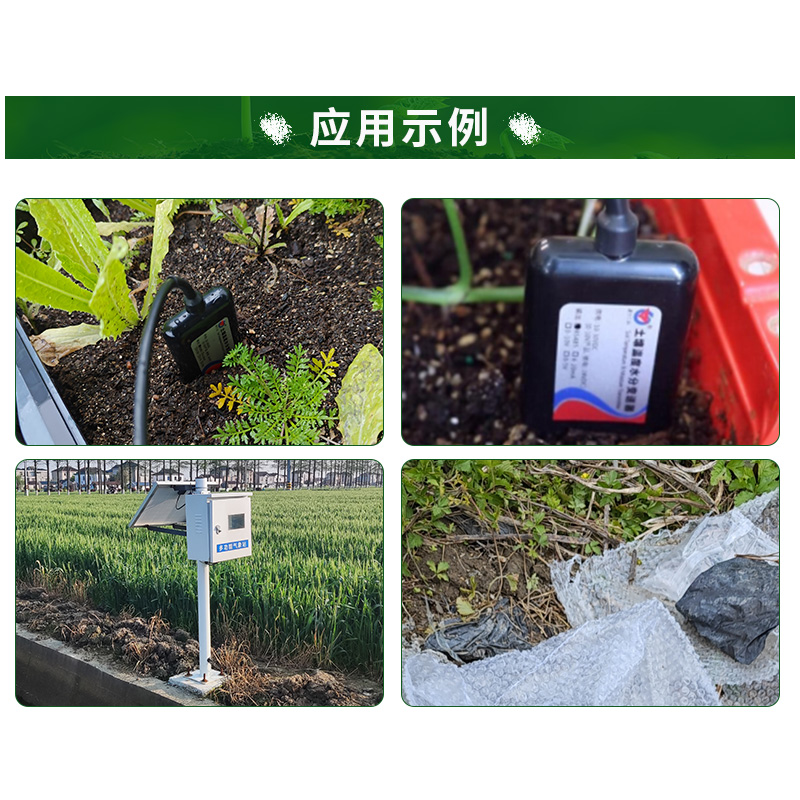 多点位探针式土质监测系统