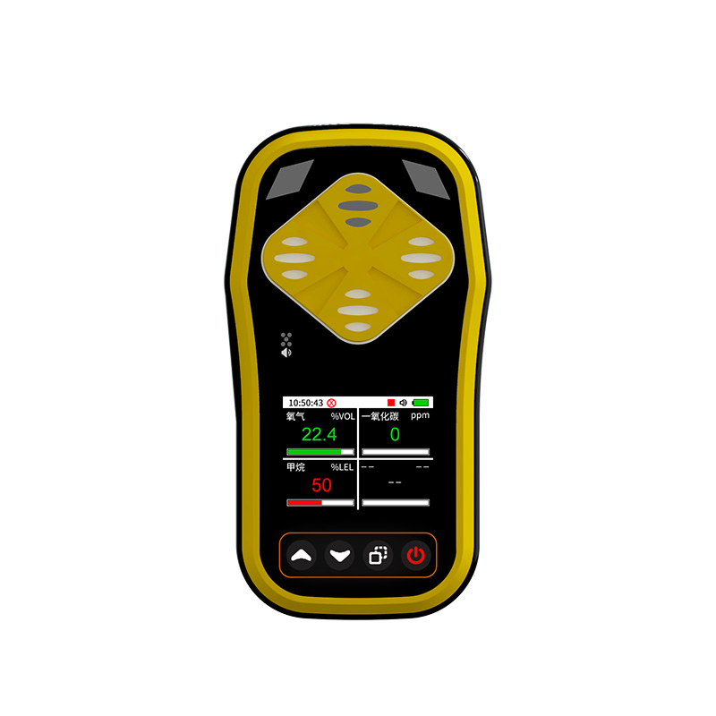 手持式气体检测仪