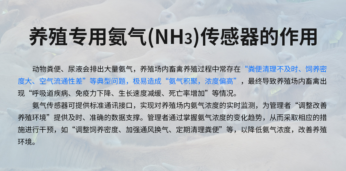 养殖场专用氨气（NH3）传感器_02.jpg