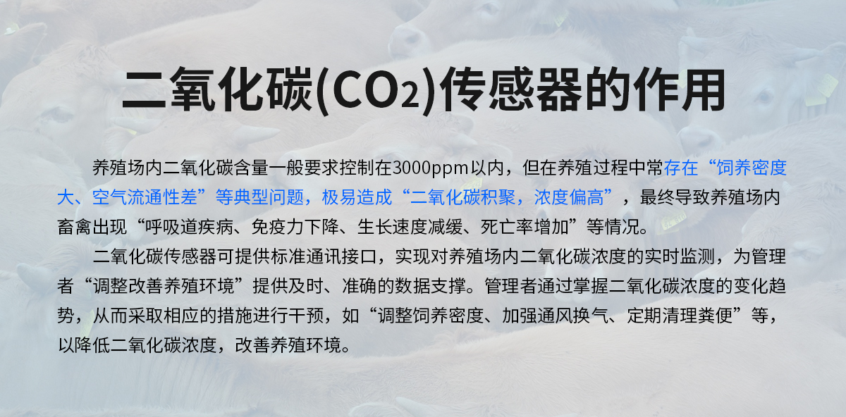 二氧化碳(CO2)传感器_02.jpg