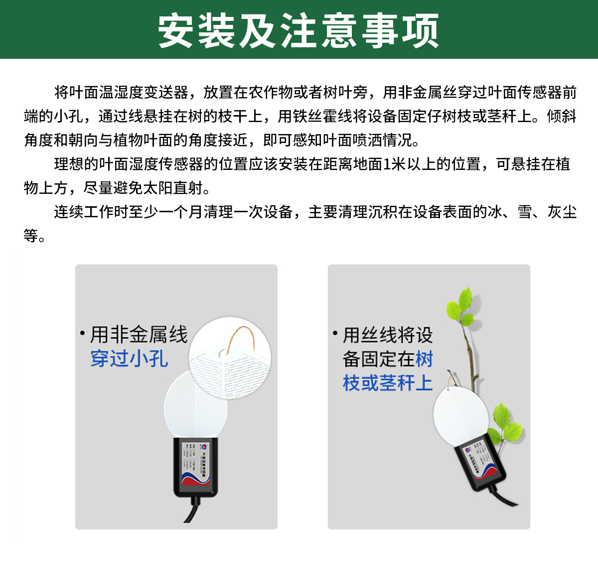 叶面温湿度_04.jpg