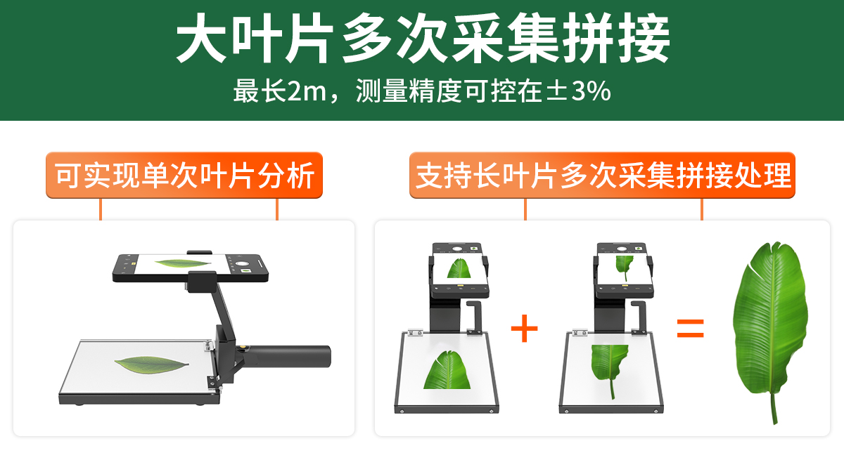 叶面面积分析仪_04.jpg