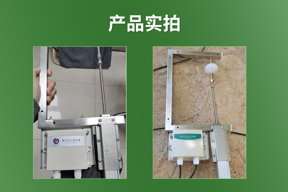 果实生长变送器_03.jpg