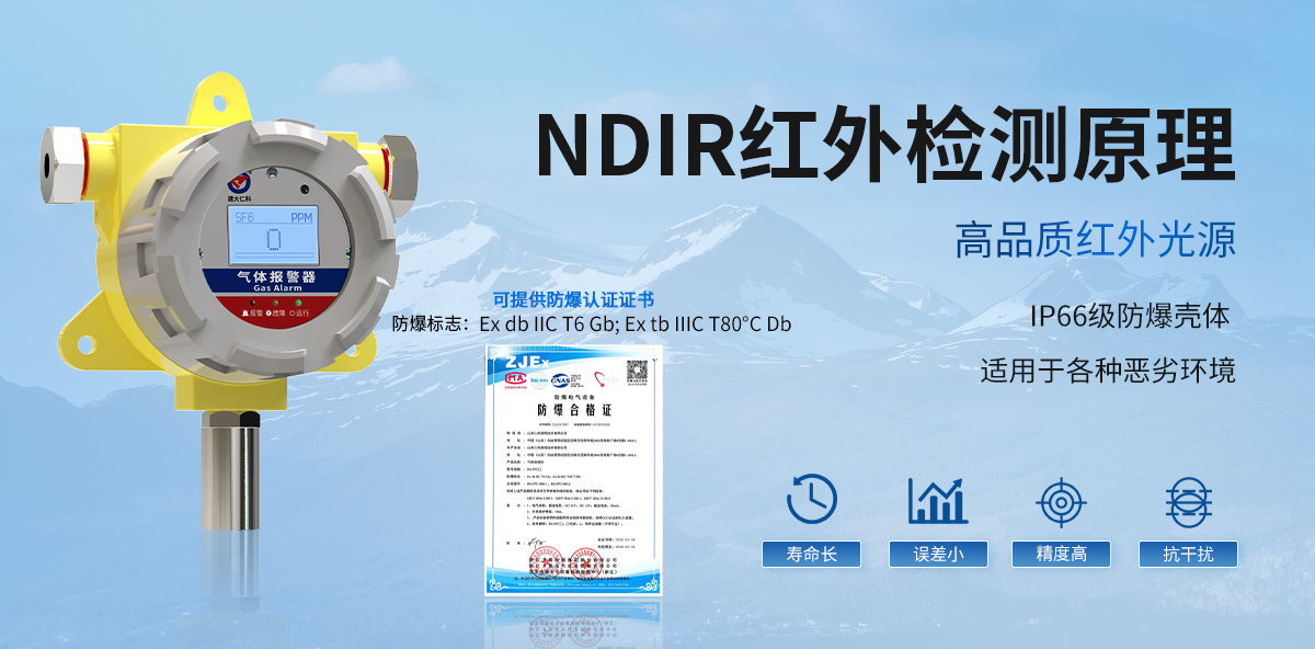 六氟化硫气体变送器（防爆壳）_02.jpg