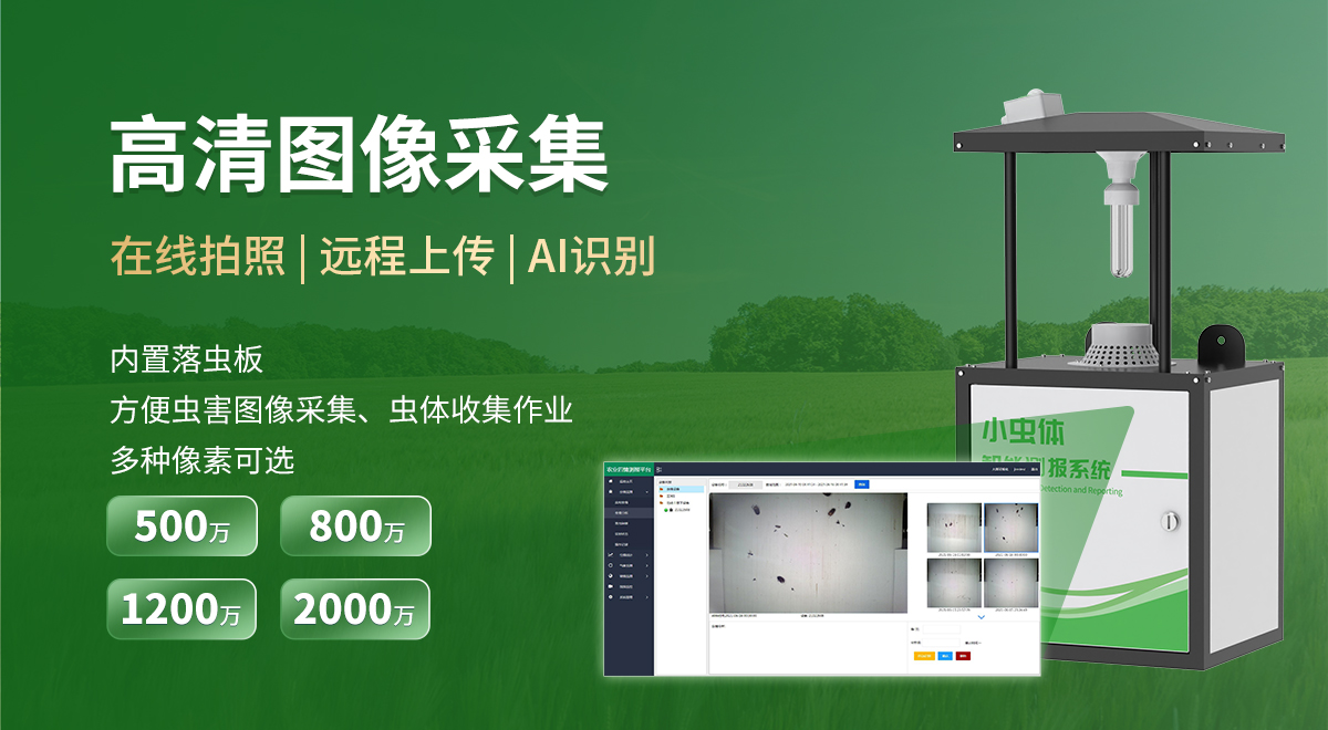 小虫体智能测报系统_06.jpg