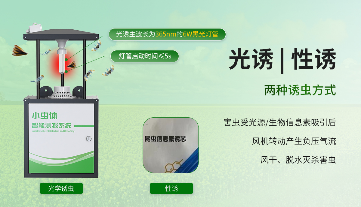 小虫体智能测报系统_03 (1).jpg