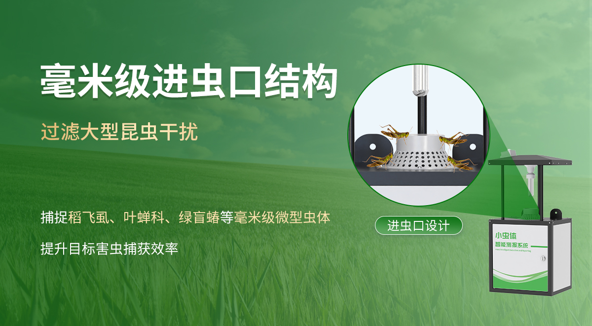 小虫体智能测报系统_04.jpg