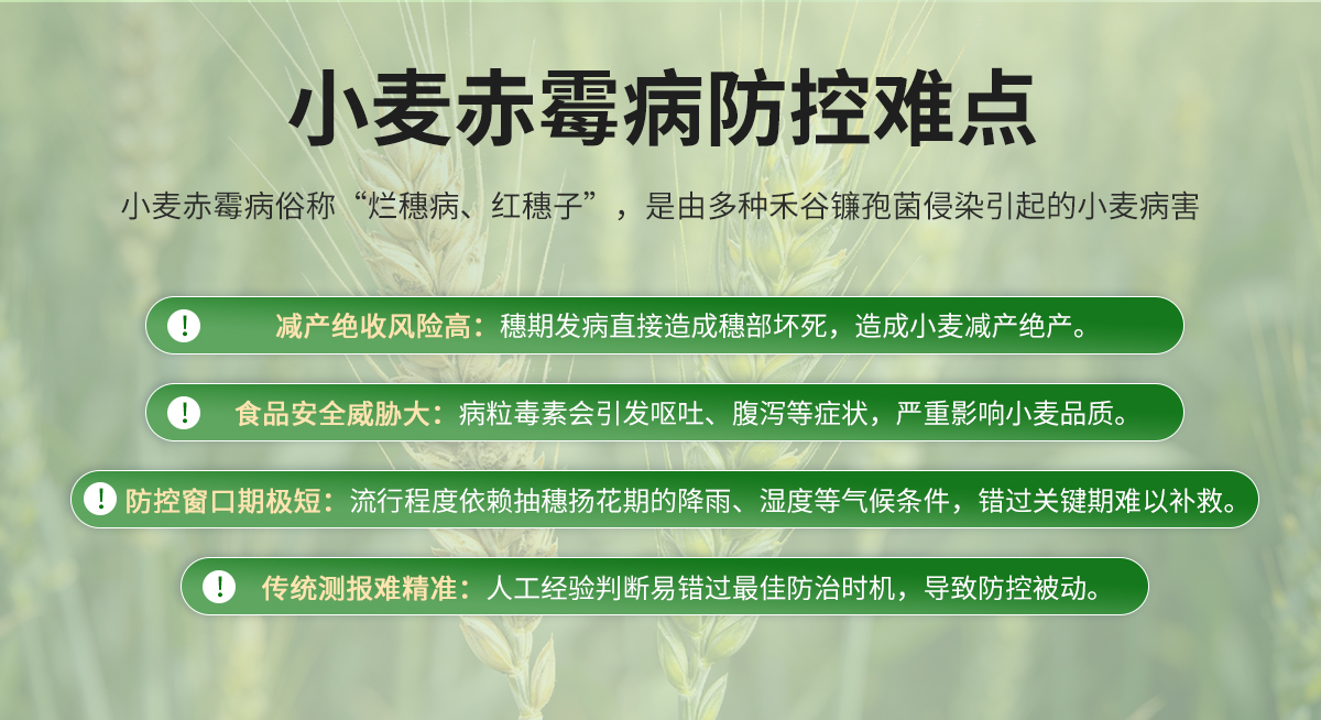 小麦赤霉病监测仪_02.jpg
