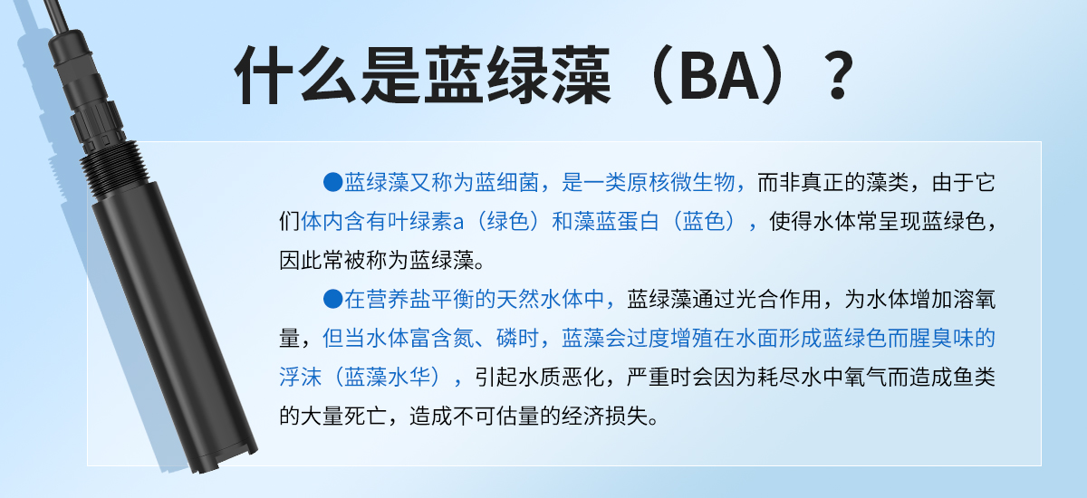 水质蓝绿藻变送器_02.jpg