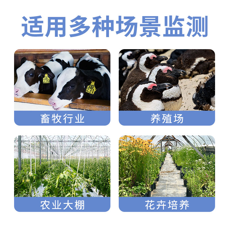 低功耗4G型温湿度变送器（4G-C5）