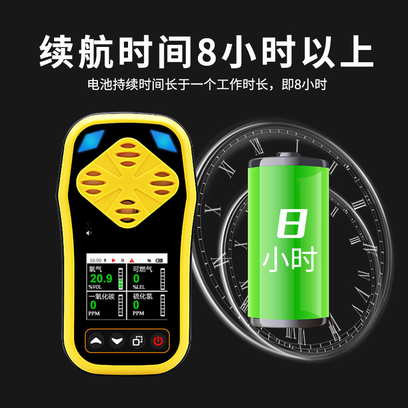 手持式气体检测仪