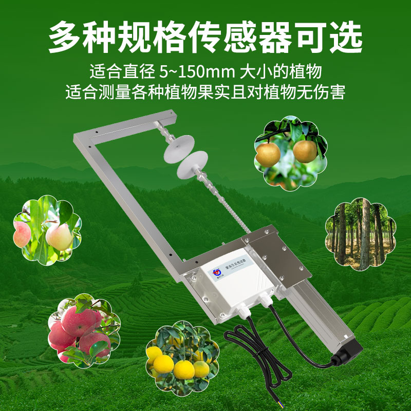 果实生长传感器