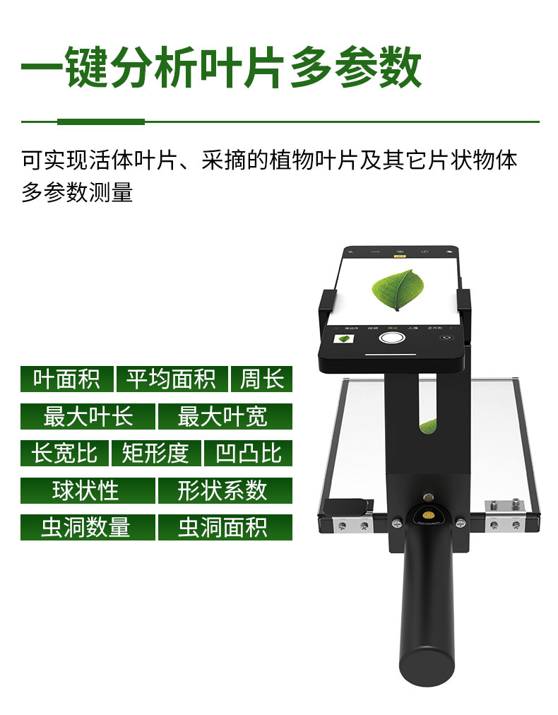 详情_05.jpg