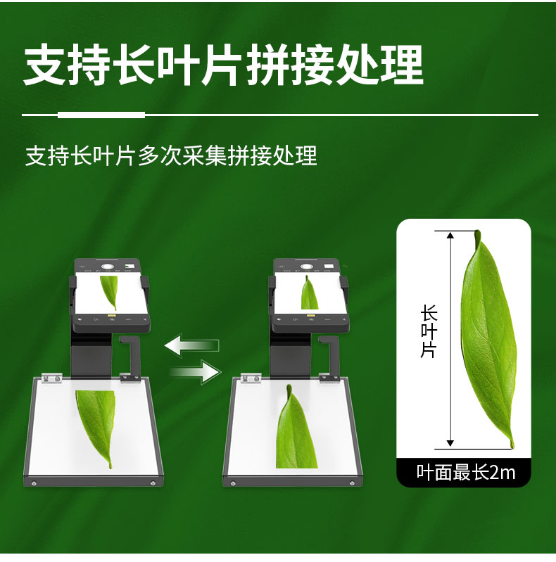 详情_06.jpg