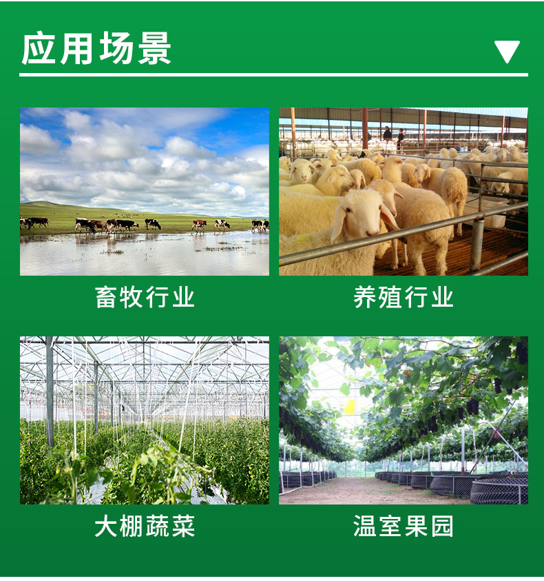 详情_24.jpg